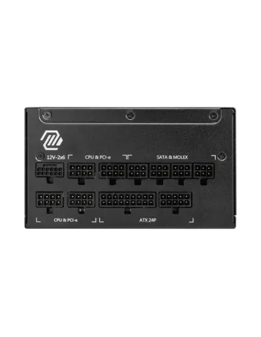 MAG A1000GL PCIE5
