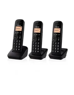 CORDLESS TGB613 TRIO