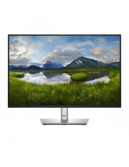 Dell P2425