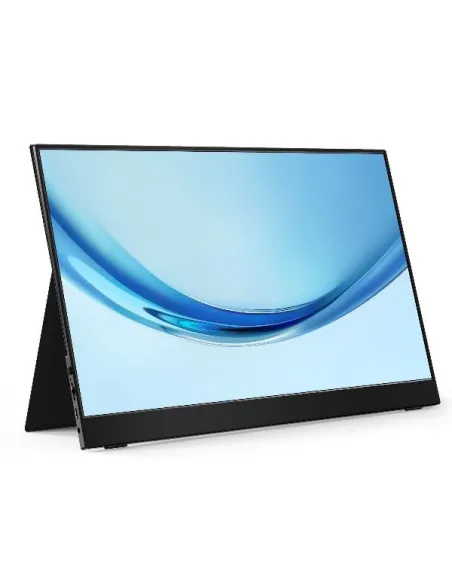 17 3 PORTABLE MONITOR FULLHD 60HZ