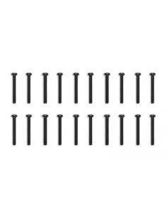 EK Water Blocks EK-Loop Phillips Head Screw Set M4 x 30 mm, 20 Stück - schwarz