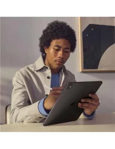 IPAD PRO 13" WIFI-CELL 256GB BLK