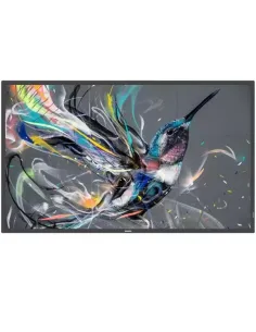 MONITOR 55 Q-LINE 18/7 4K