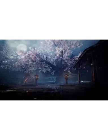 Sony Nioh 2, PS4 Standard Inglese, ITA PlayStation 4