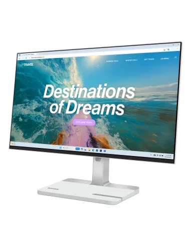 Lenovo L24D-4C Monitor