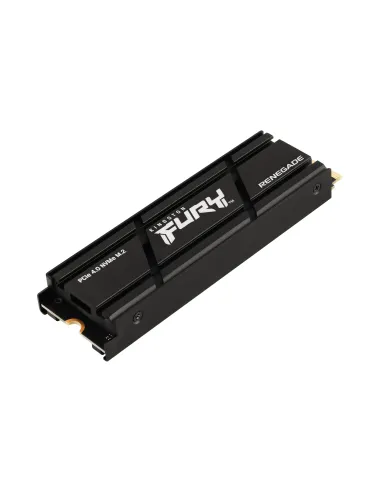 Kingston Technology 2000G RENEGADE PCIe 4.0 NVMe SSD W Dissipatore di calore