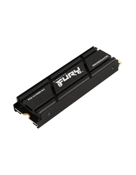 Kingston Technology 2000G RENEGADE PCIe 4.0 NVMe SSD W Dissipatore di calore