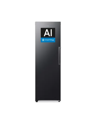 Samsung Congelatore Monoporta 323 lt Cl. D Nero frigorifero