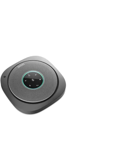 Snom C300 vivavoce Telefono Grigio