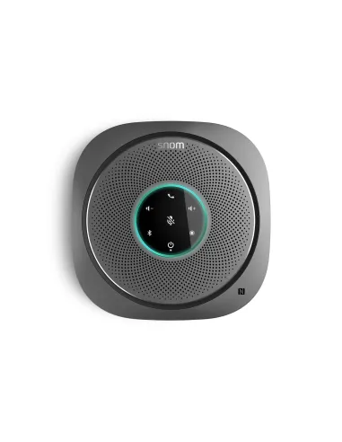 Snom C300 vivavoce Telefono Grigio