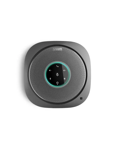 Snom C300 vivavoce Telefono Grigio