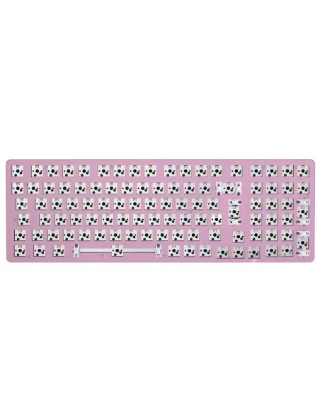 Glorious Gaming GMMK 2 tastiera USB Inglese US Rosa