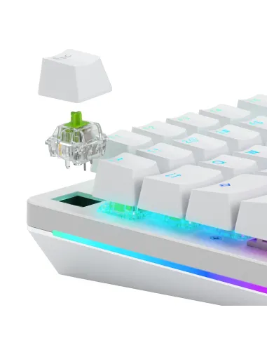 Glorious Gaming GLO-KB-ACC-SWT-RAPTOR-LUBED-36 accessorio del dispositivo di ingresso Interruttori a tastiera