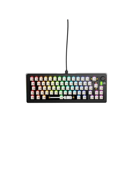 Glorious Gaming GMMK 3 65% Barebones tastiera USB No Nero