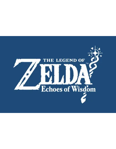 Nintendo The Legend of Zelda Echoes of Wisdom