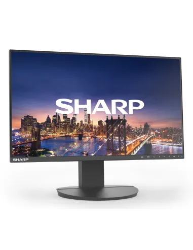 Sharp MultiSync EA242F Monitor PC 61 cm (24") 1920 x 1080 Pixel Full HD LCD Nero