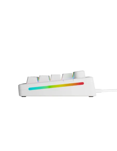 Glorious Gaming GMMK 3 65% Prebuilt tastiera USB QWERTY Inglese US Bianco