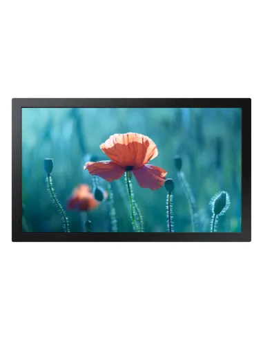 Samsung QB13C 33 cm (13") LCD Wi-Fi 500 cd m² Full HD Nero 16 7