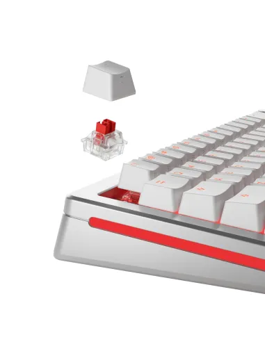 Glorious Gaming GLO-KB-ACC-SWT-FOX-HE-36 accessorio del dispositivo di ingresso Interruttori a tastiera