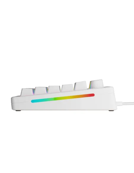 Glorious Gaming GMMK 3 HE 75% Prebuilt tastiera USB QWERTY Inglese US Bianco