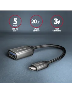 Axagon RUCM-AFAC adattatore per inversione del genere dei cavi USB C USB A Grigio 2