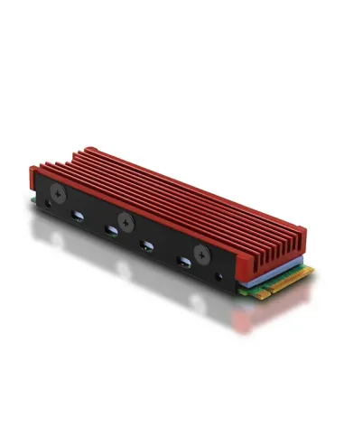 Axagon CLR-M2 sistema di raffreddamento per computer M.2 NVMe SSD, Unità allo stato solido Dissipatore di calore Radiatore