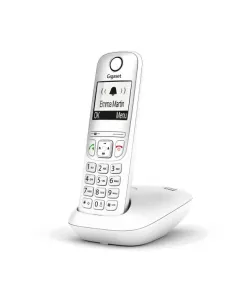 GIGASET AS490 WITH 2