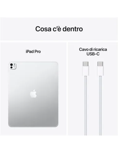 IPAD PRO 13" WIFI-CELL 256GB SLV