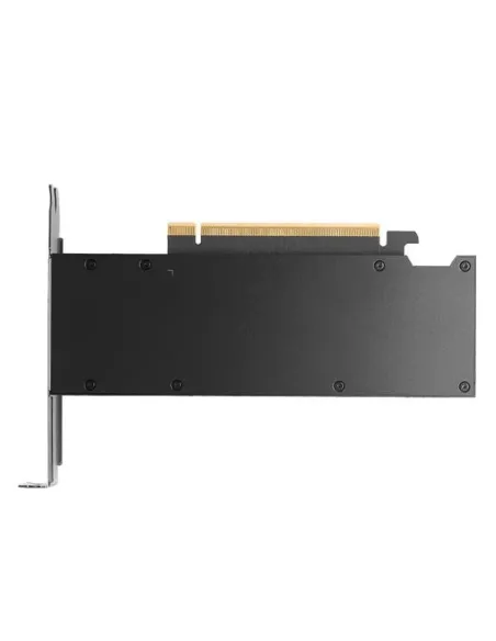 PNY RTX PRO 2000 Blackwell NVIDIA 16 GB GDDR7