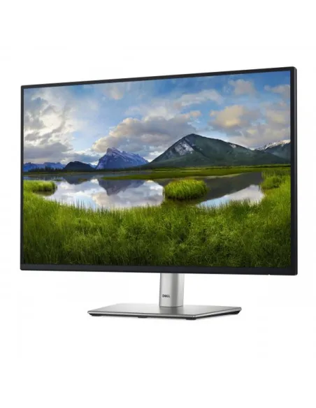 DELL 24 USB-C HUB MONITOR P2425E