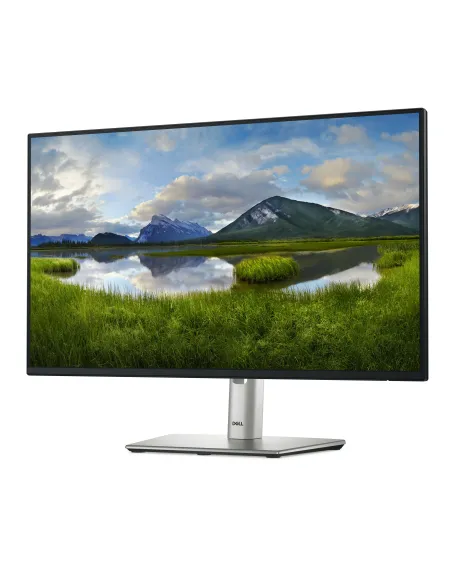DELL Pro Plus P2425HE Monitor PC 60,5 cm (23.8") 1920 x 1080 Pixel Full HD LCD Nero