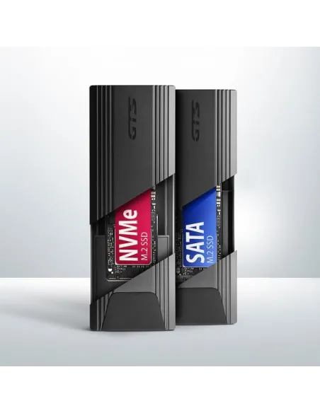 Axagon EEM2-GTS2 contenitore di unità di archiviazione Box esterno