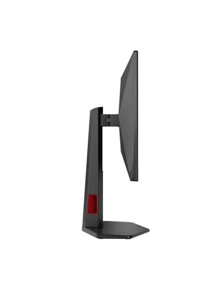 MONITOR 24,5 IPS 2560X1440 REG ALT