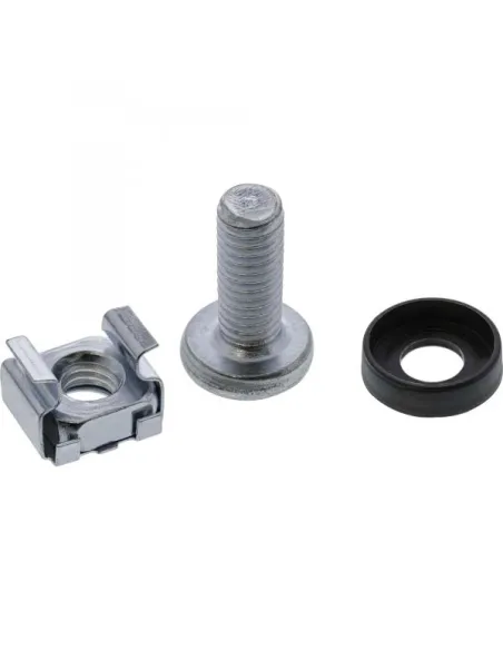 InLine Dadi in gabbia M6 per rack con vite croce e rondella, Conf. 20