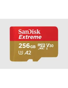 SanDisk microSDX