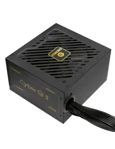 Enermax ERV650G-AHG-NAC alimentatore per computer 650 W 20+4 pin ATX ATX Nero