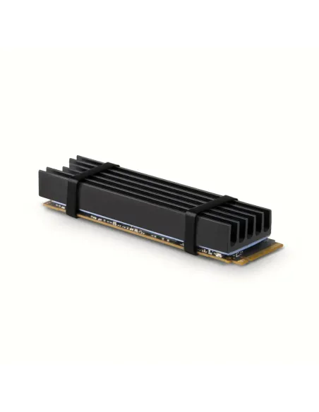 Axagon CLR-M2L10 sistema di raffreddamento per computer M.2 NVMe SSD, Unità allo stato solido Dissipatore di calore Radiatore