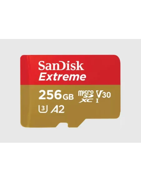 SanDisk Extreme 256 GB MicroSDXC UHS-I Classe 3